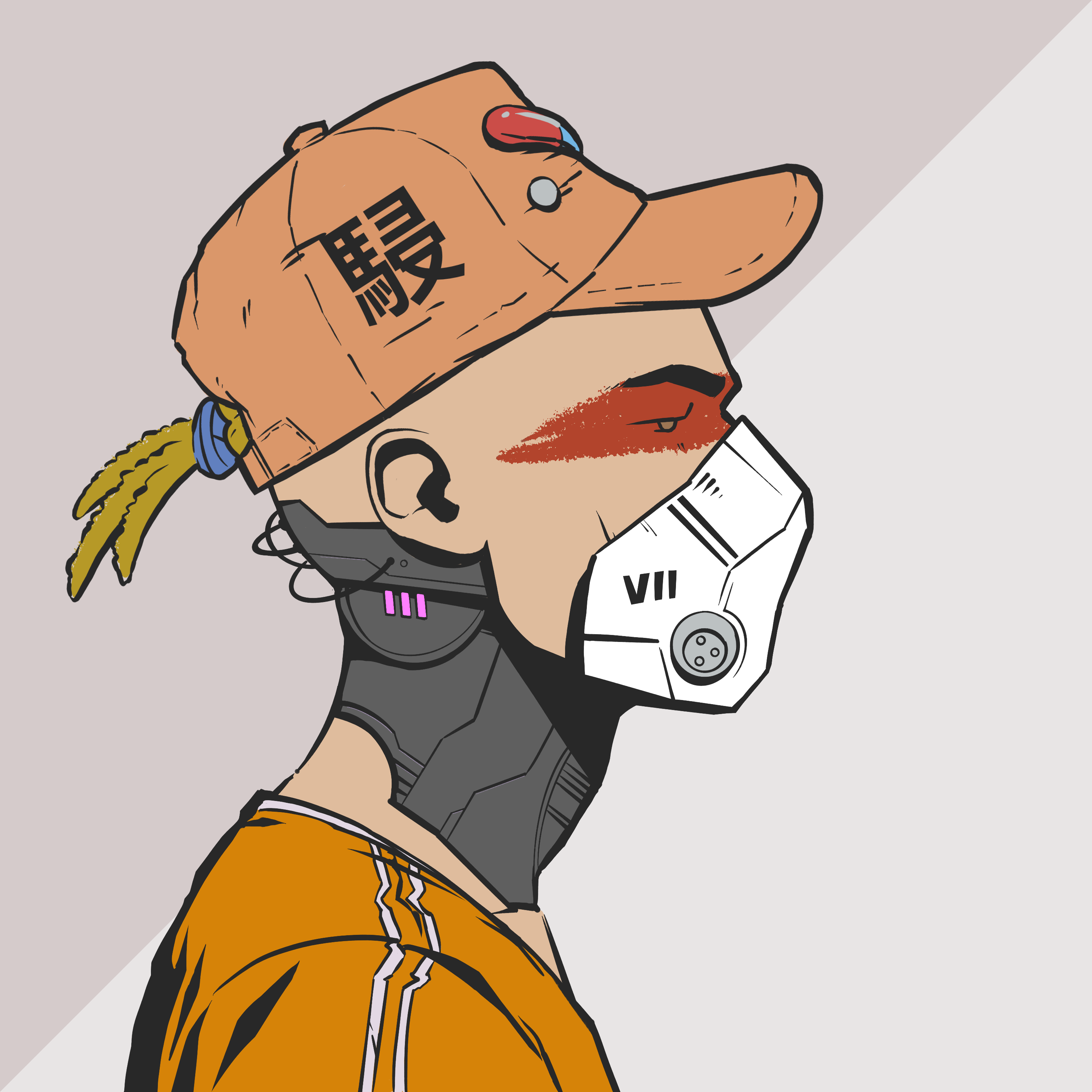 DR/VR #1901