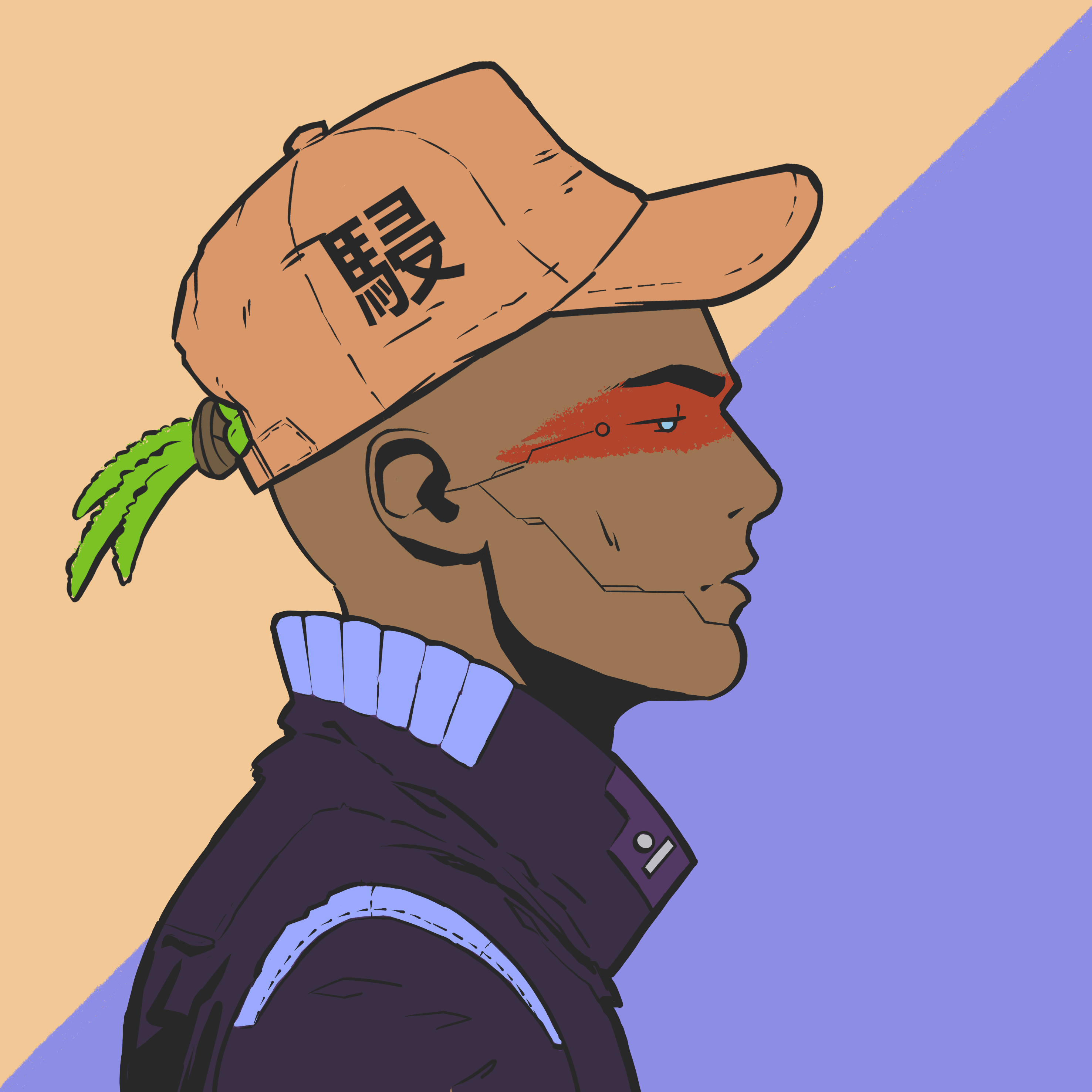 DR/VR #779